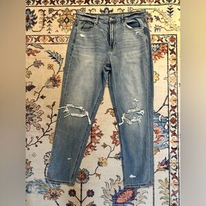 American Eagle Outfitters Light Blue Ripped Skinny Jeans